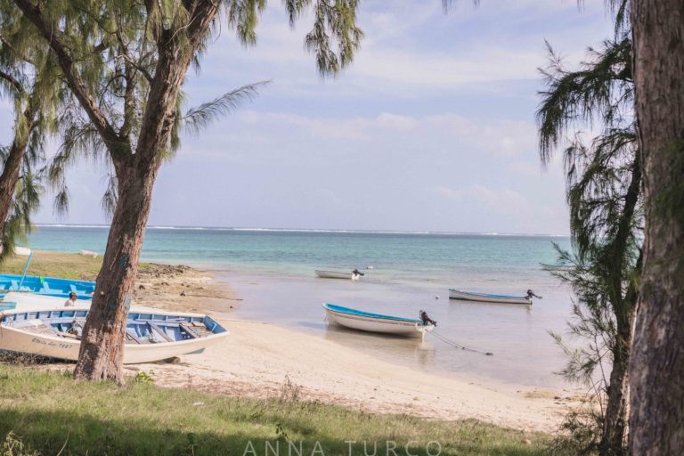 December 2018: Rodrigues