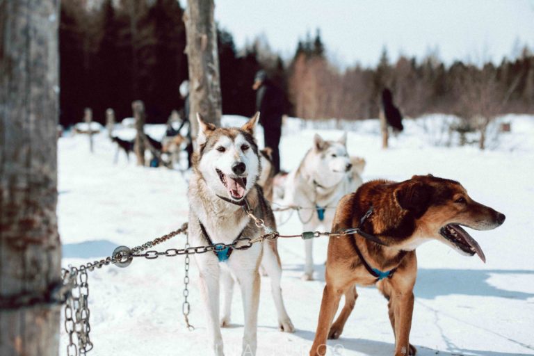 March 2019 – Mont-Tremblant, Canada
