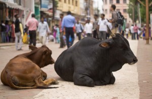 india-20