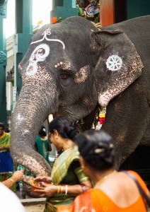 india-4