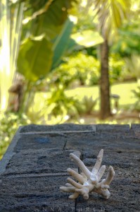 mauritius-19