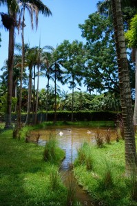 mauritius-4