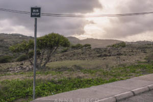 rodrigues-11