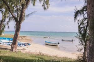 rodrigues-6