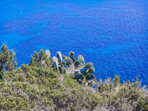 sardinia-5