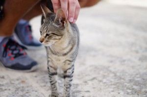sicily-6