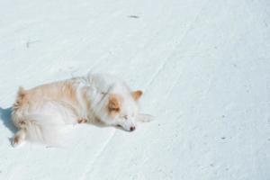 tremblant-canada-9